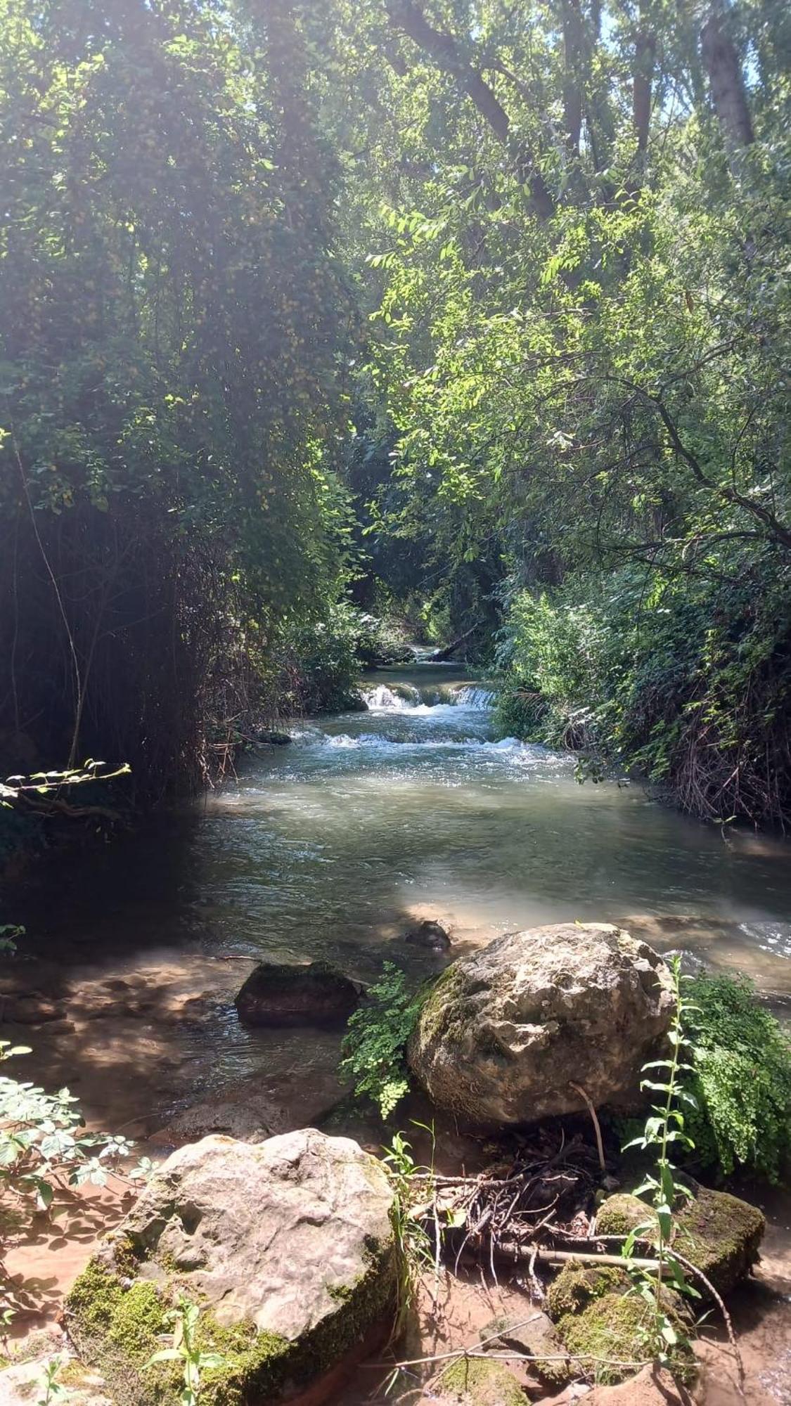 Nuévalos Casa Rural Casco Antiguo מראה חיצוני תמונה